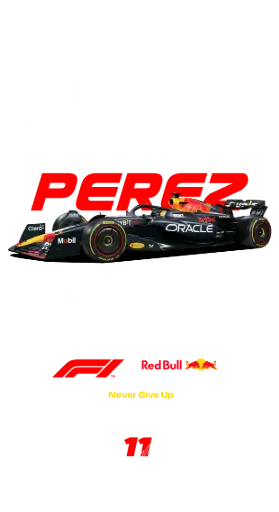 Oversized T-Shirt – CHECO PEREZ F1